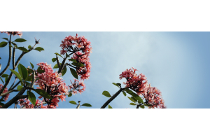 Top Diet & Lifestyle Recommendations for the Spring season!